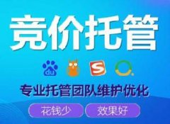專業競價托管外包