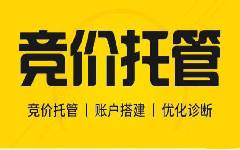 網站建設競價托管外包